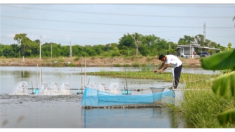 เกษตรดิจิทัล“เคล็ดไม่ลับ” ผลิตปลานิลไร้กลิ่นโคลน