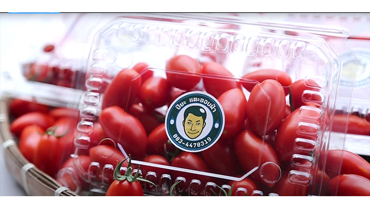 ‘มะเขือเทศ’แตะขอบฟ้า ต้นแบบ‘เกษตรกรรุ่นใหม่’