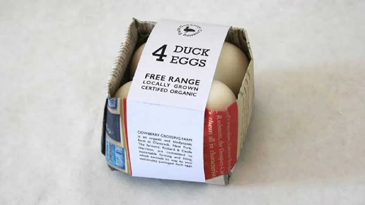 การจัดการขยะพลาสติกในต่างประเทศ