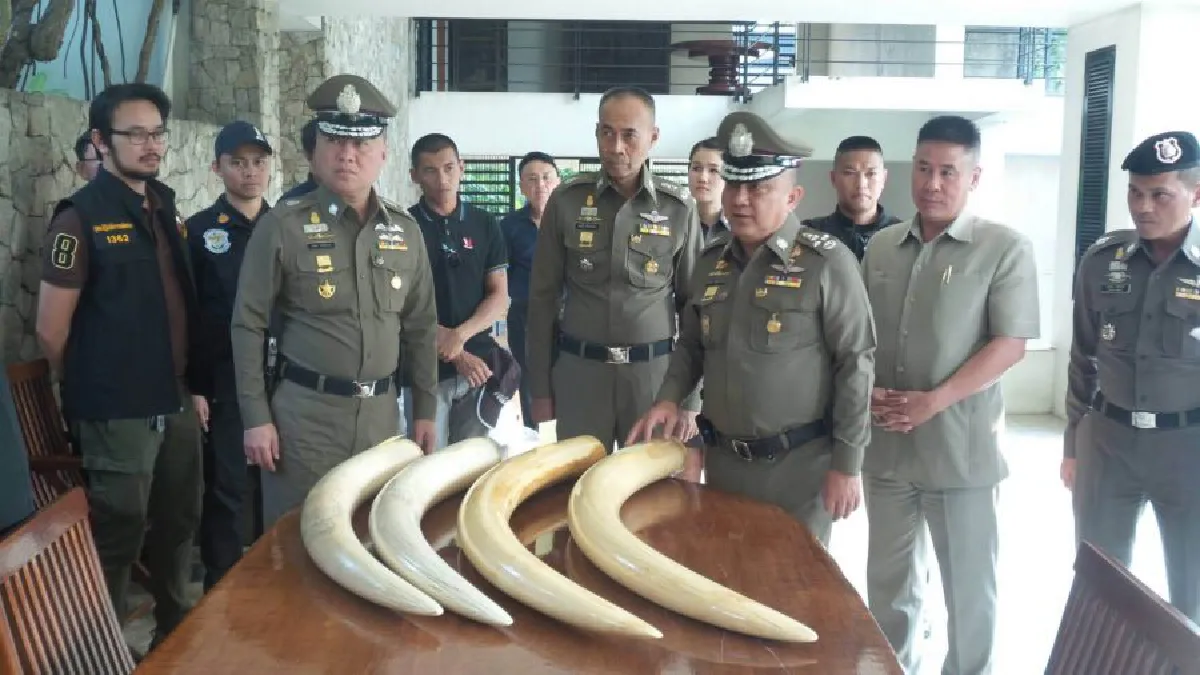 ปฏิบัติการค้นบ้าน 'เปรมชัย' (ภาพชุด)