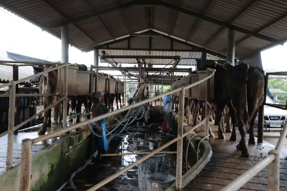 ปัญหาน้ำเสีย ต้องแก้ที่ "คน"