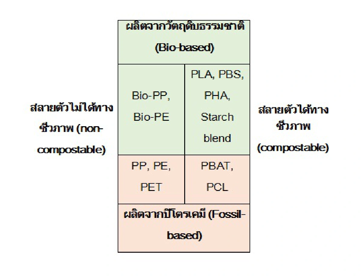 เทรนด์ตลาดพลาสติกชีวภาพ และโอกาสผู้ประกอบการไทยในตลาด EU