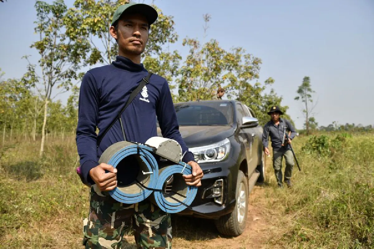 ติดปลอดคอช้าง ก้าวแรกการศึกษาพฤติกรรม-ลดความขัดแย้งประชาชน