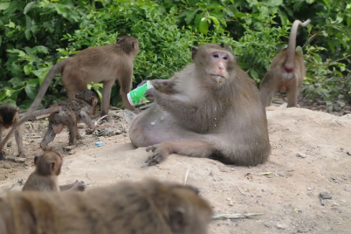 20170823124158654 (1)