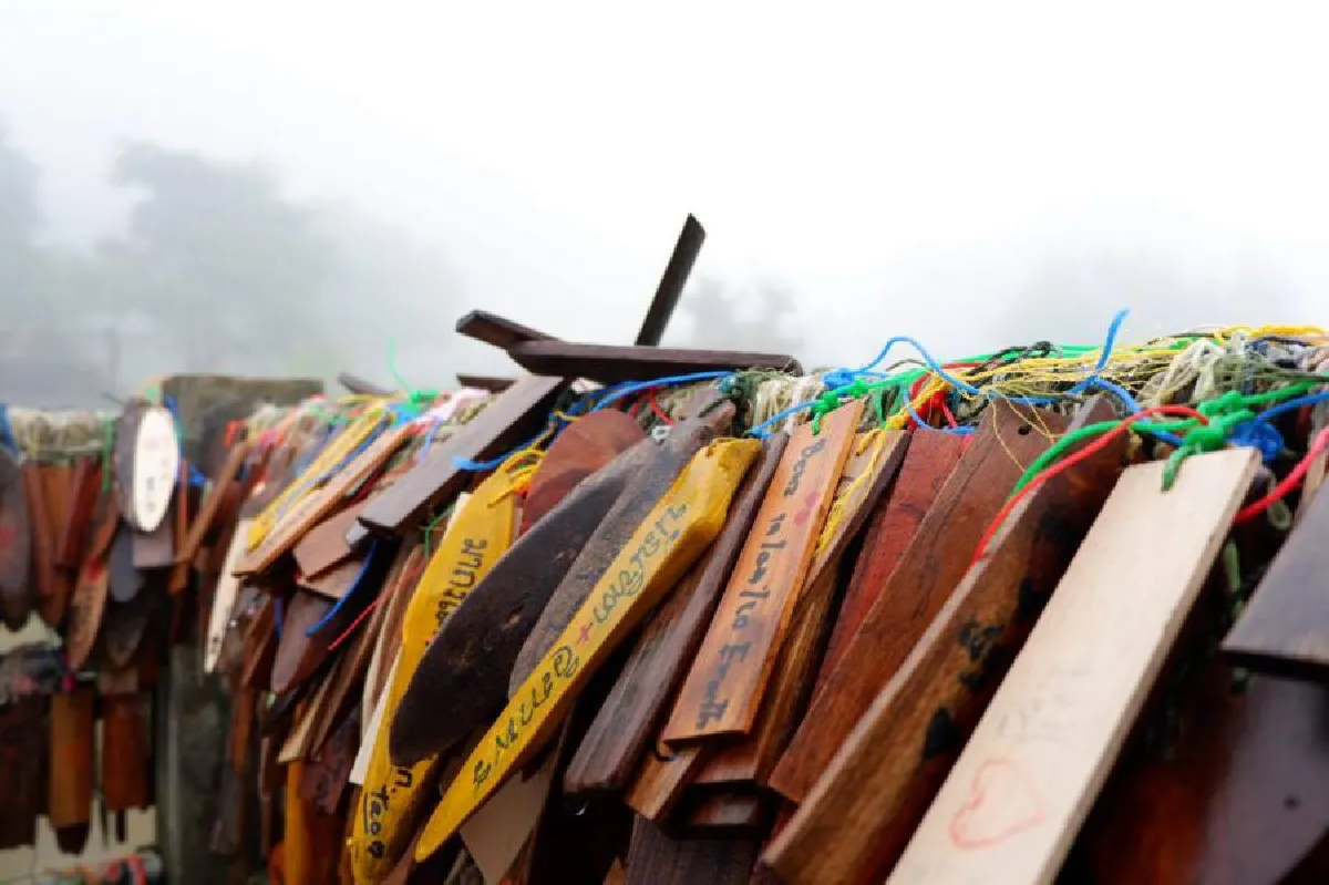 19875725_1534277306593080_72975242_o