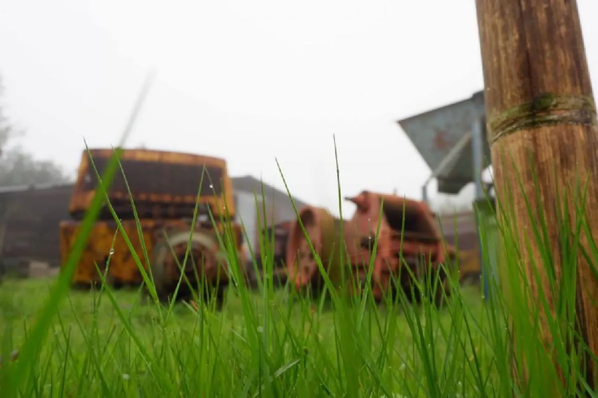 19875743_1534277143259763_1839300286_o