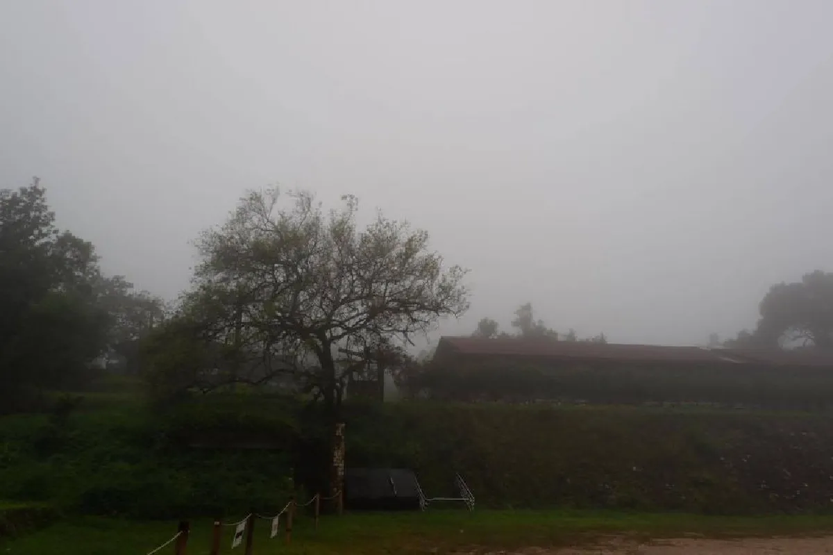 19876058_1534277213259756_414762574_o