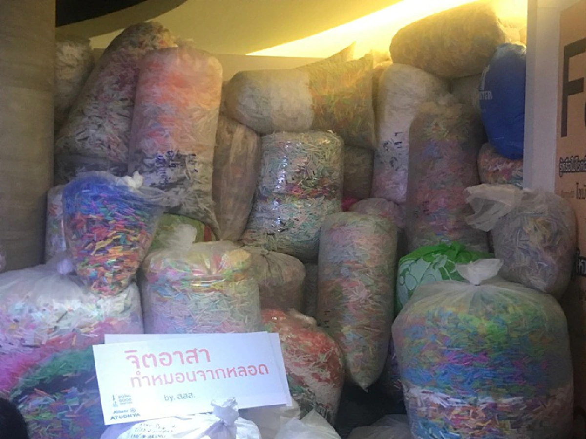 จาก Go Zero Waste สู่ หมอนหลอดพลาสติก