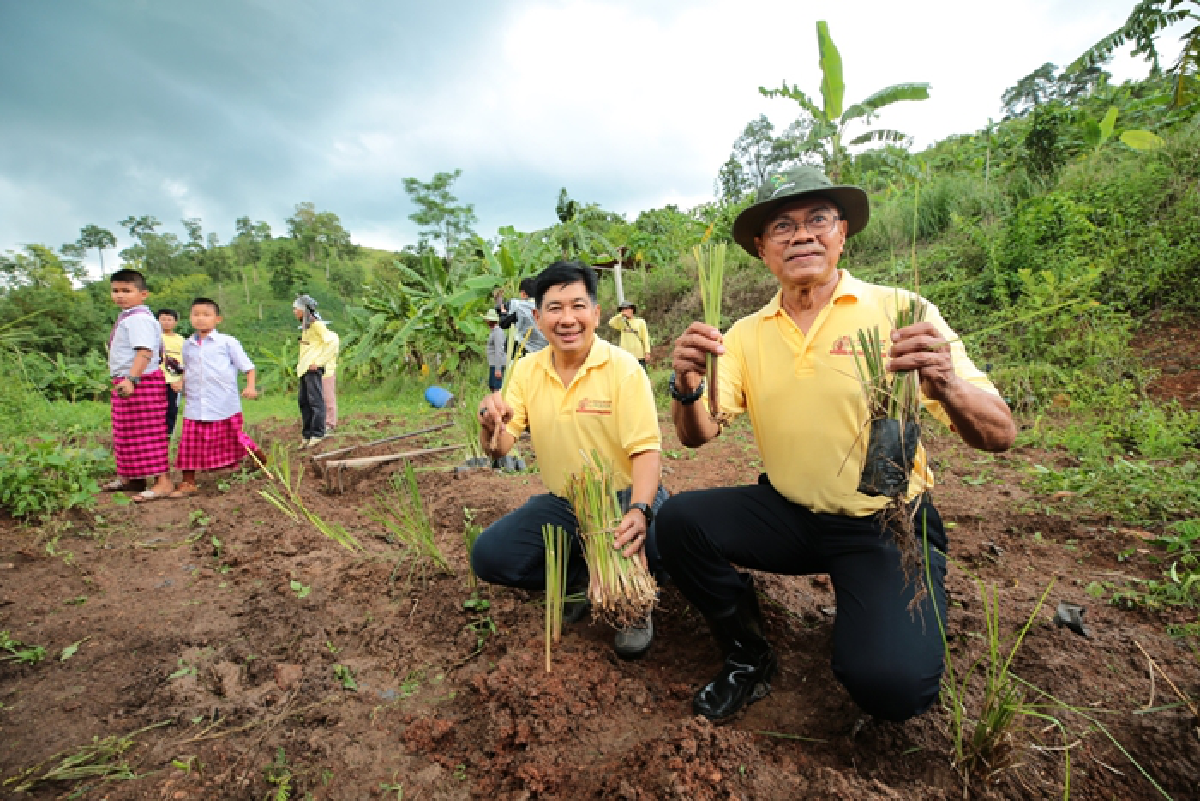 หยุดการ ชะล้างพังทลายของดินด้วยศาสตร์พระราชา