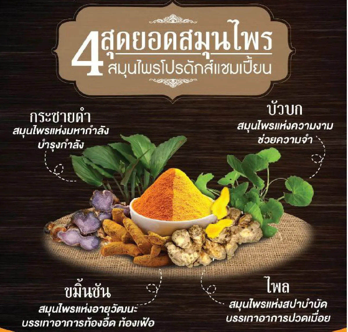 รัฐบาลเตรียมผลักดัน 4 สุดยอดสมุนไพรเชิงเศรษฐกิจ ก. พบ ข. 