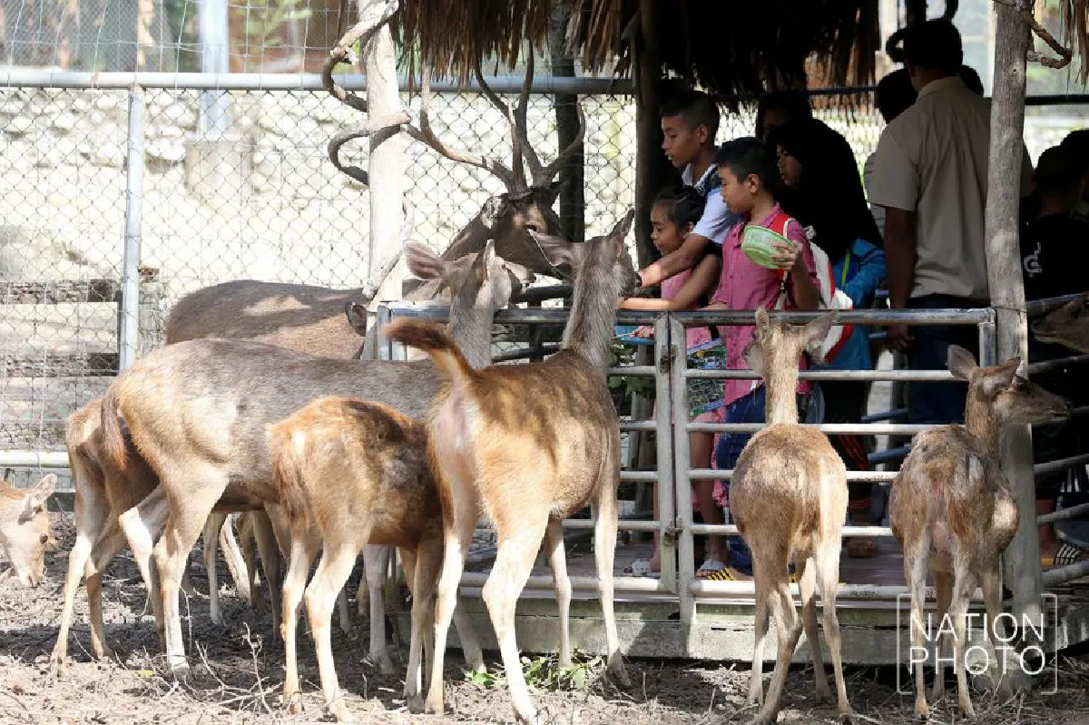 วันเด็กชายแดนใต้ แห่เที่ยวสวนสัตว์สงขลา