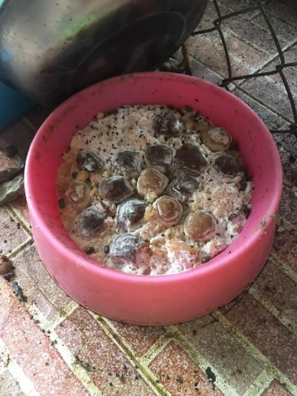 แชร์กระหึ่ม ปิดบ้านทิ้ง 'ไซบีเรีย' นอนตายอนาถ