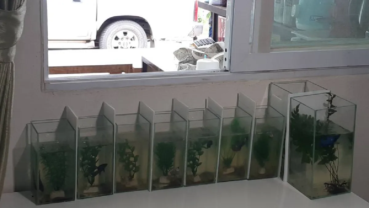 เปิดห้องนอน 'โอ วรุฒ' เรียบง่ายกว่าที่คิด