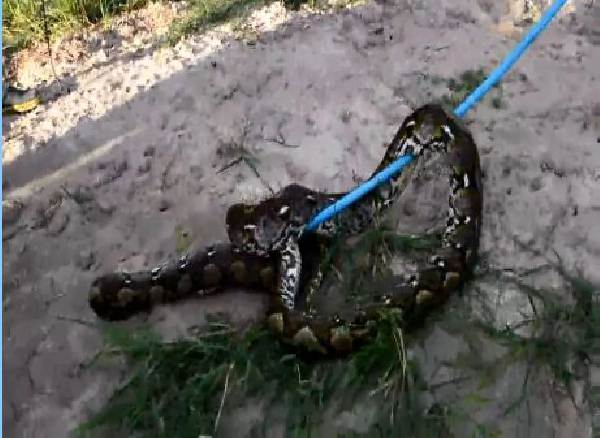 โซเชียลเสียงแตก!! ดราม่าลีดมธ. โชว์ศิลปะ หรือ โป๊เปลือย?