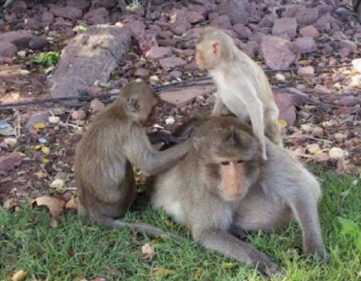 Fit Talks 18 คน 18 แรงบันดาลใจ