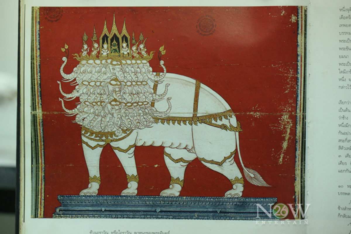 ช้างมงคล 10 ตระกูล 