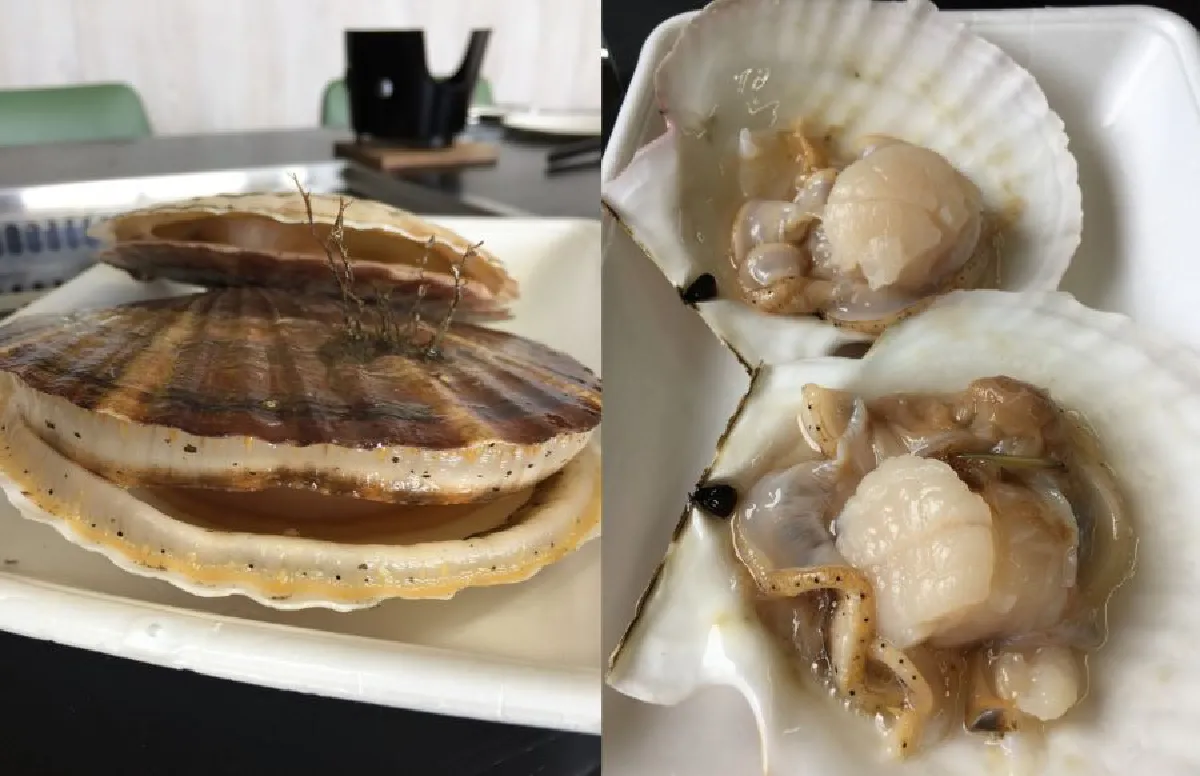  Wakkanai  มนต์เสน่ห์ในดินแดนเหนือสุดแห่งเกาะฮอกไกโด (ตอน 1)