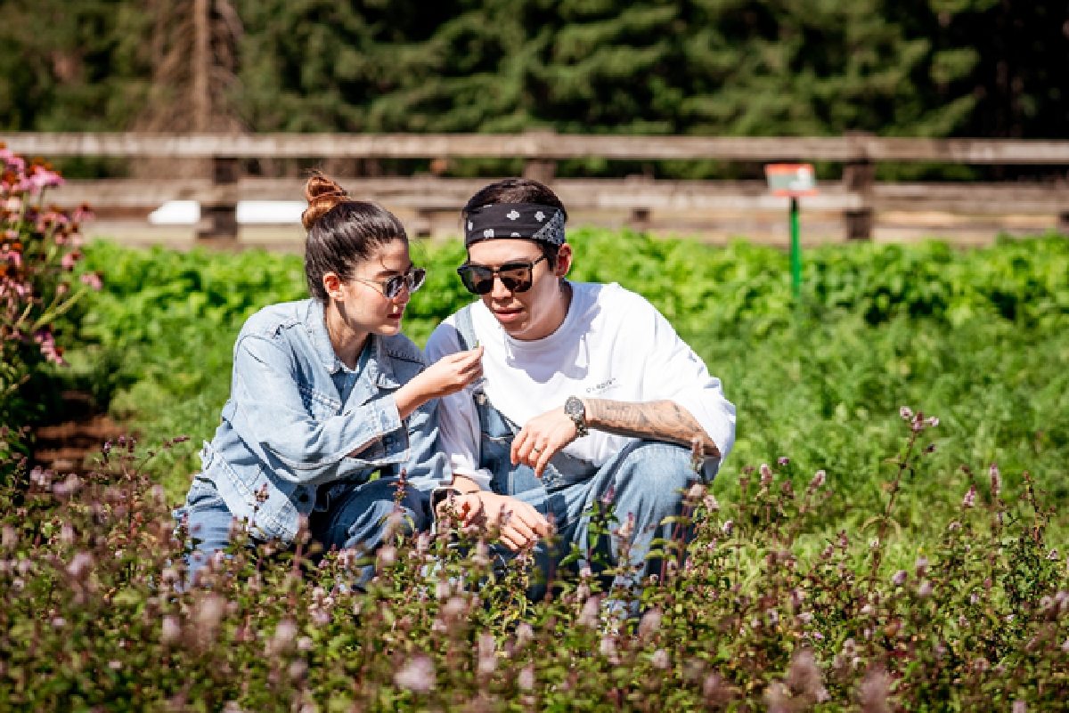 “ป๊อกกี้ on the farm ตะลุยฟาร์มนิวทริไลท์  วิถีออร์แกนิคตัวช่วยให้เรามีสุขภาพสมบูรณ์สูงสุด (Optimal Health)”