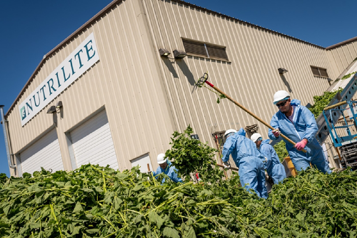 “ป๊อกกี้ on the farm ตะลุยฟาร์มนิวทริไลท์  วิถีออร์แกนิคตัวช่วยให้เรามีสุขภาพสมบูรณ์สูงสุด (Optimal Health)”