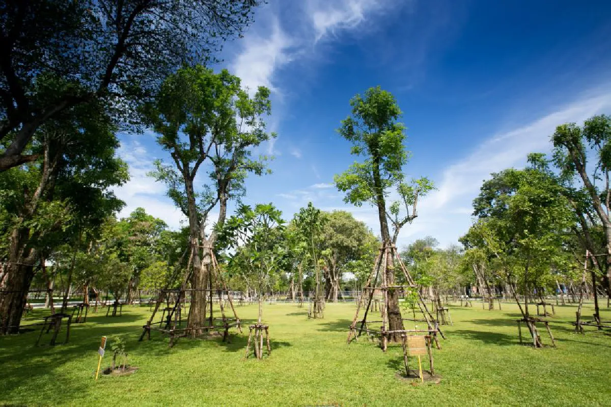 เดินหน้าปรับแผนสร้างสวนป่าเบญจกิติ เฉลิมพระเกียรติ สมเด็จพระบรมราชชนนีพันปีหลวง 12 ส.ค.2564 