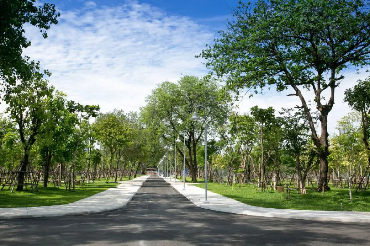 เดินหน้าปรับแผนสร้างสวนป่าเบญจกิติ เฉลิมพระเกียรติ สมเด็จพระบรมราชชนนีพันปีหลวง 12 ส.ค.2564 