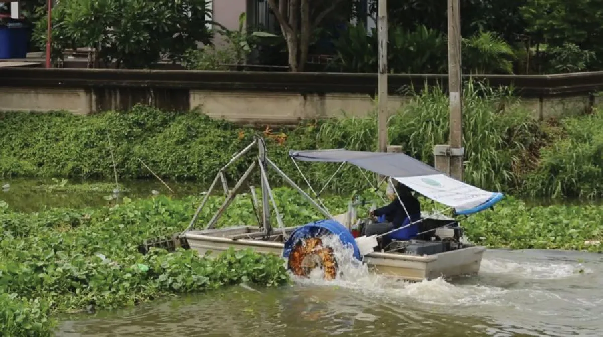 ‘หยุด เก็บ บ่อย’ กำจัดผักตบชวา รักษาสิ่งแวดล้อม ลำคลองสวยใส  