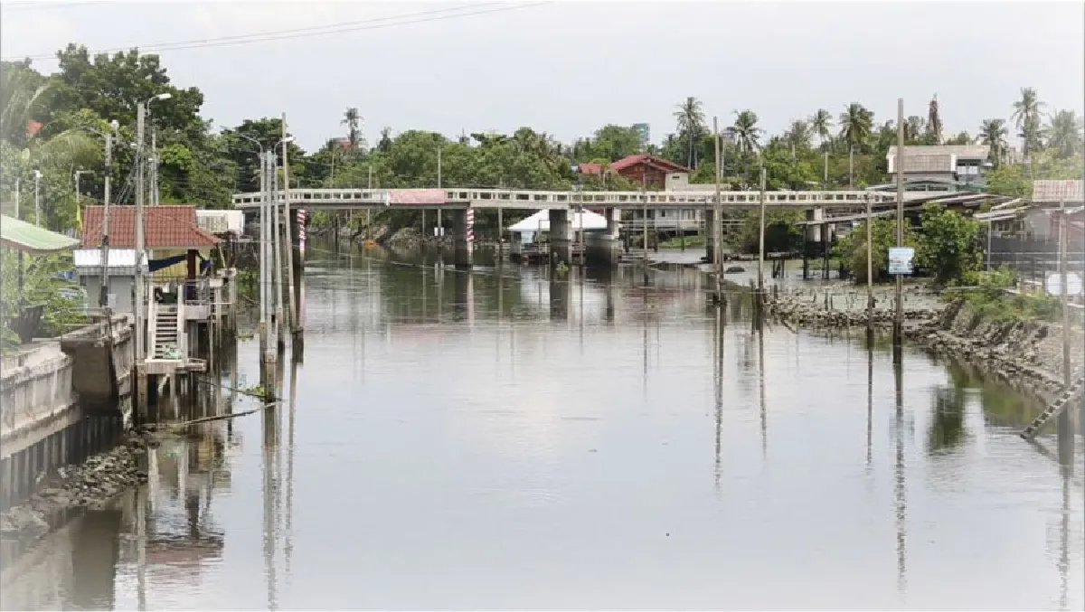 ‘หยุด เก็บ บ่อย’ กำจัดผักตบชวา รักษาสิ่งแวดล้อม ลำคลองสวยใส  
