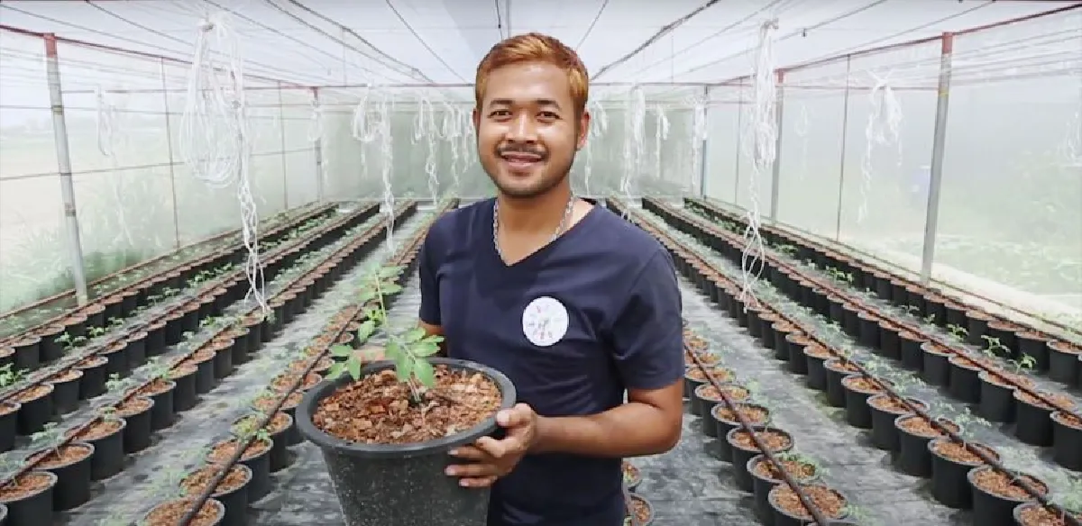 ‘มะเขือเทศ’แตะขอบฟ้า ต้นแบบ‘เกษตรกรรุ่นใหม่’