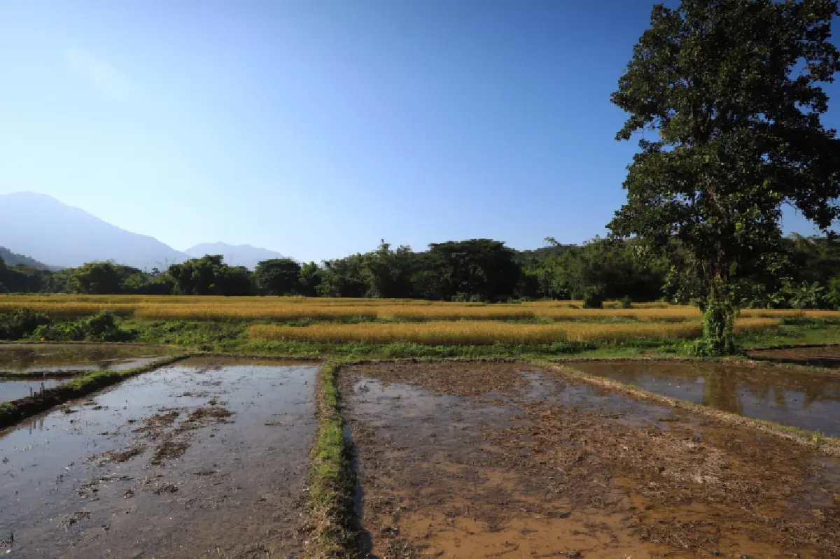 กลุ่มธุรกิจ TCP เผย 7 เคล็ดวิชาบริหารจัดการทรัพยากรน้ำ