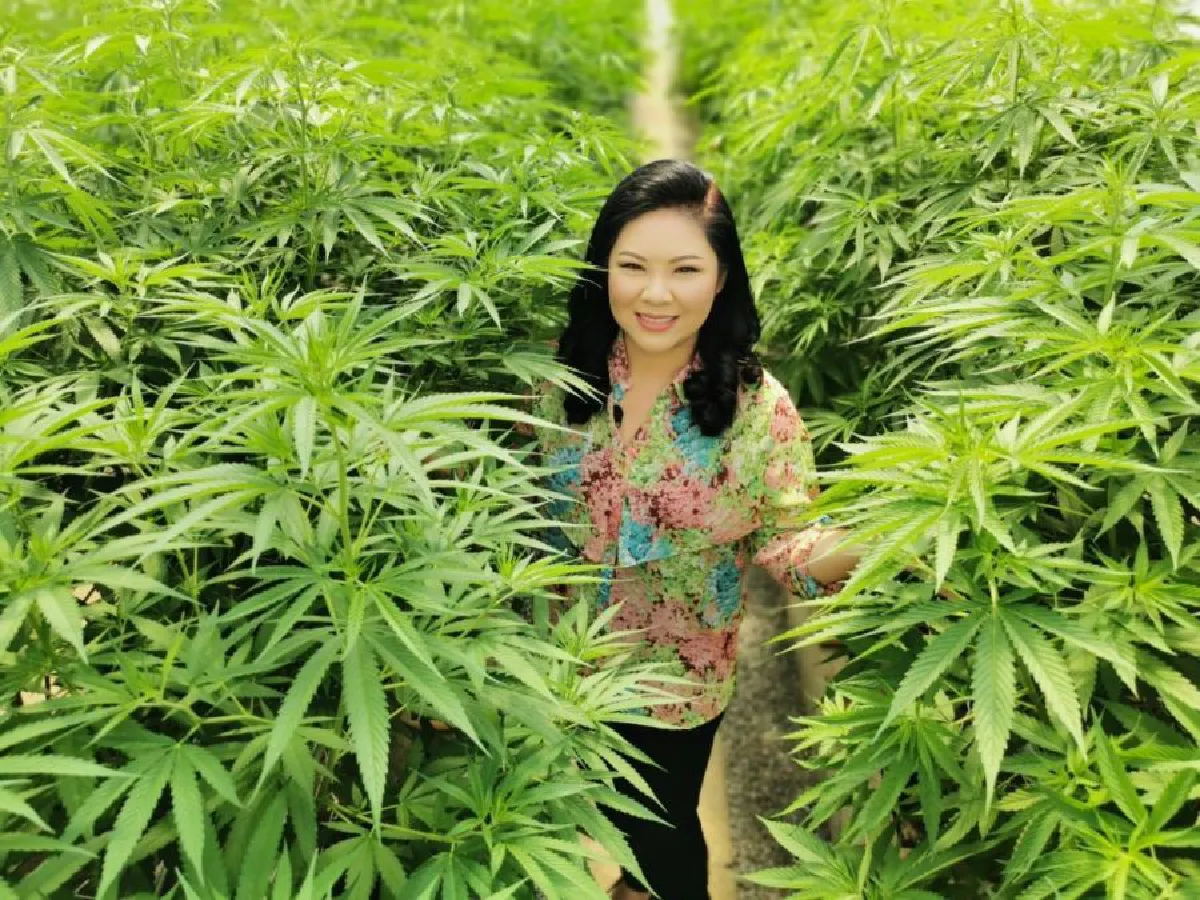 นางฟ้ากัญชา ดัน “CANNABIZ WAY” สู่ธุรกิจกัญชงเพื่อเศรษฐกิจเต็มรูปแบบ ชูจุดเด่น “นวัตกรรมเกษตร” เพิ่มผลผลิตกัญชงคุณภาพที่มีสาร CBD สูงสุด