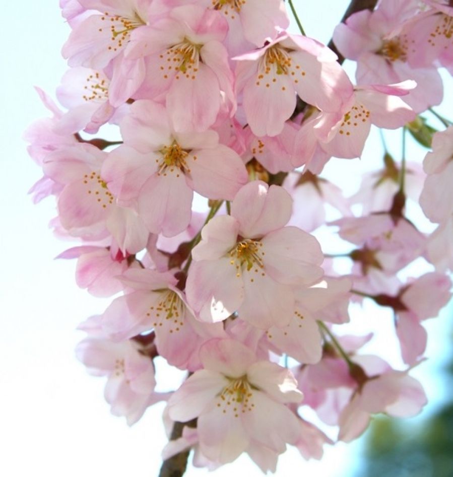 My Image 11