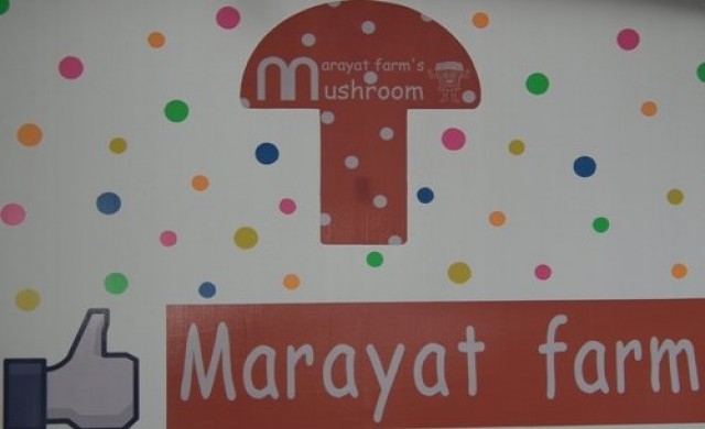 มารยาท ฟาร์ม โลกของคนรักเห็ด