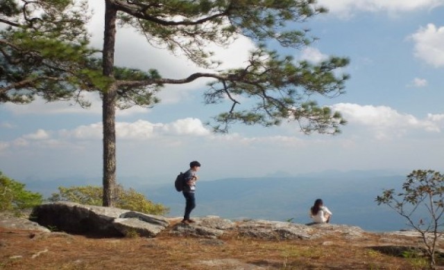 ภูกระดึง...ไม่แดง