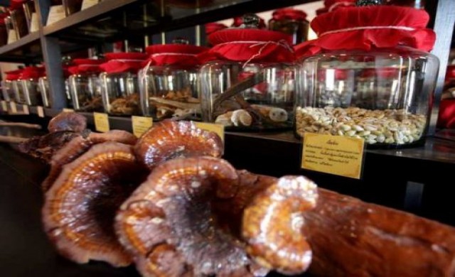 คีโมบำบัดต้องงดสมุนไพร