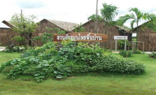 รัฐเร่งออกยุทธศาสตร์เกษตรอินทรีย์แห่งชาติ