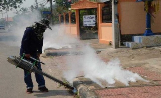 ไข้เลือดออกมาถึงตัว