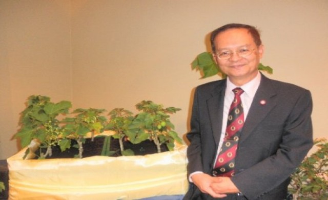 ปรับลุค 'สบู่ดำ'เตี้ย-ไร้พิษสง