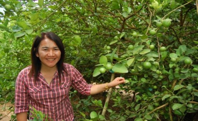 เด็ดขั้วมะนาวนาโน