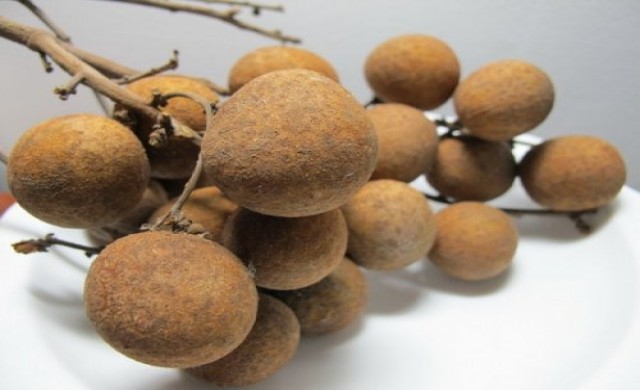 สวทช. ดันลำไยไทยส่งออกนอก