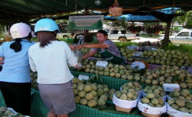 ชิมน้อยหน่า เที่ยวสุดซ่าที่ปากช่อง