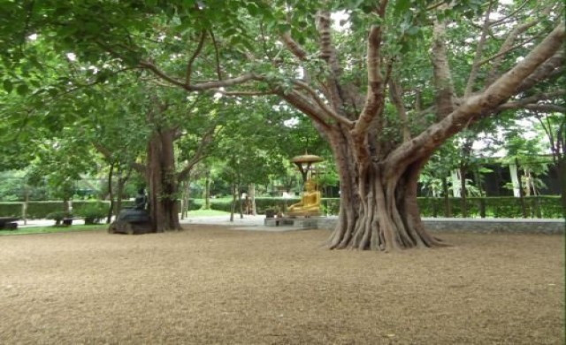 ถอดโมเดล"วัดสร้างสุข"ส่งสำนึก 5ส สู่สังคม