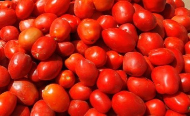 มะเขือเทศ บำรุงผิว&ยับยั้งโรค