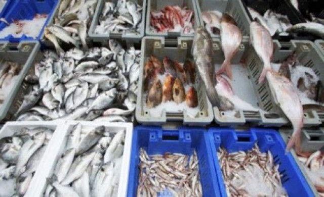 ญี่ปุ่นฟ้องการค้าโลกโสมขาวแบนอาหารทะเล