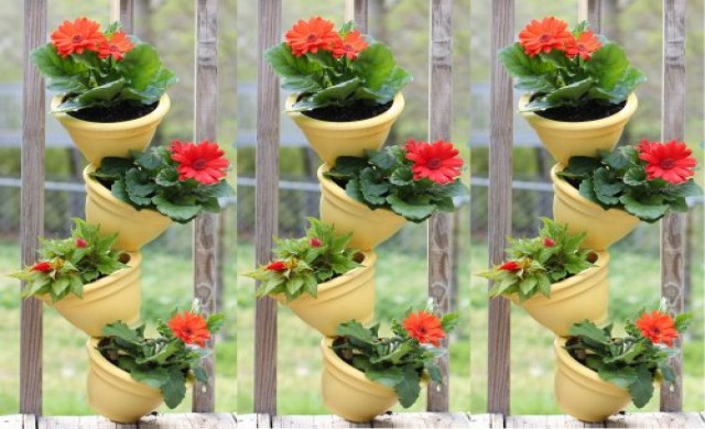 "ออกซิเจน" ของ Gen M