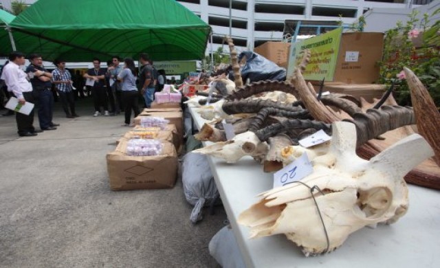 จับกุม...