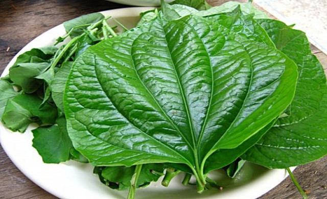 หวาน VS ขม ผสมเป็นยา