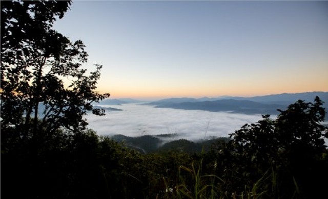 ฝาย...ตามรอยพ่อ