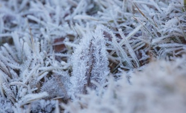 พบน้ำค้างแข็งบนดอยอินทนนท์ในรอบ20ปี