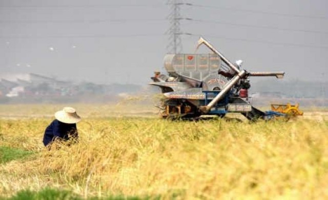 จากใจ.. ชาวนาไทย