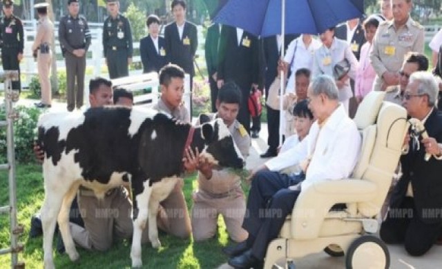 'ในหลวง'ทอดพระเนตรโครงการชั่งหัวมัน